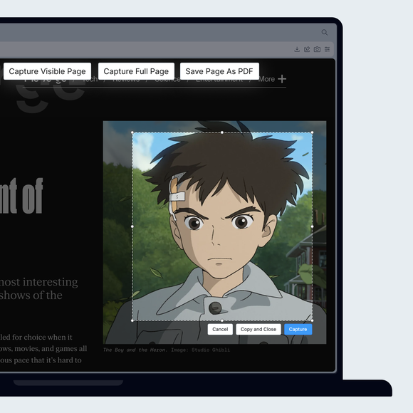 Frame exactly what you want